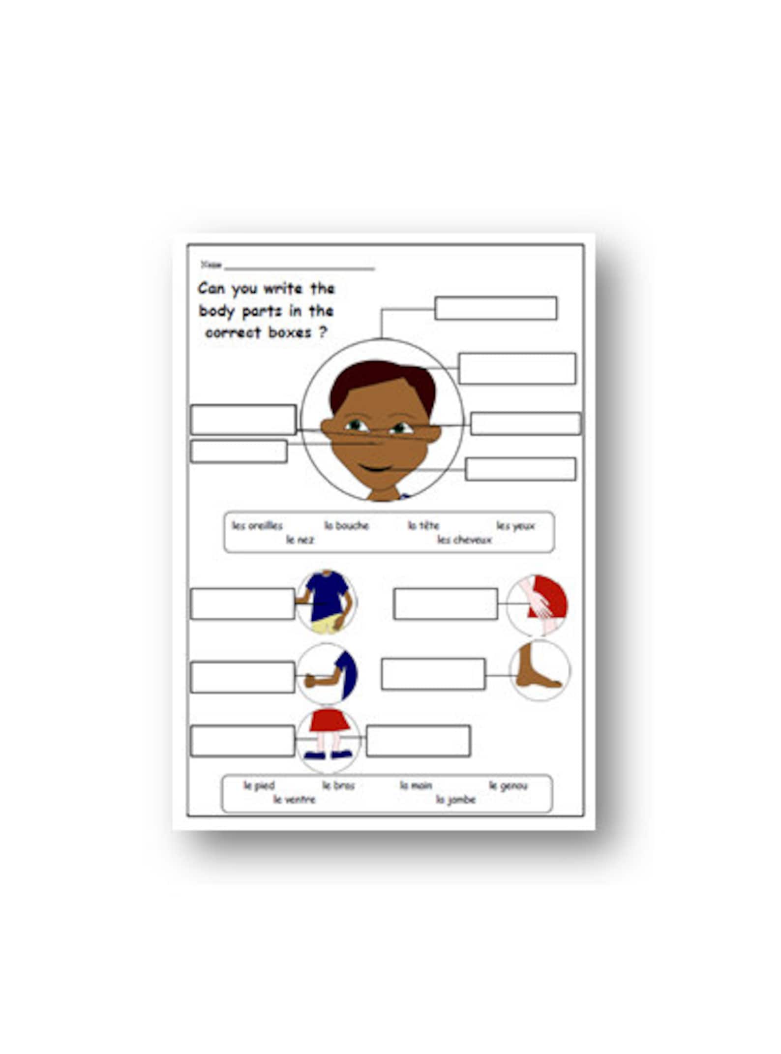 PARTS of the BODY FRENCH Printable Worksheet / French Learning Teacher
