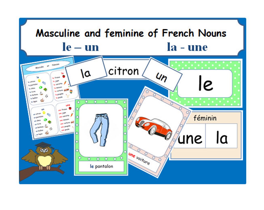 MASCULINE & FEMININE of French Nounseducationlearn French Wordsfrench Classes's Aidbasic