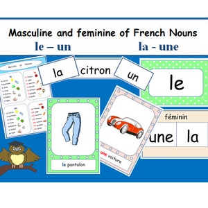 MASCULINO E FEMININO de substantivos franceses-Educação-Aprenda palavras em francês-Auxílio para aulas de francês-Recursos básicos para professores de francês-escola de francês