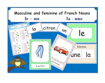 May include: A colourful educational chart for learning French grammar. The chart features the words "le", "un", "la", "une", "citron", and "le pantalon". The chart also includes illustrations of a lemon, trousers, and a car.