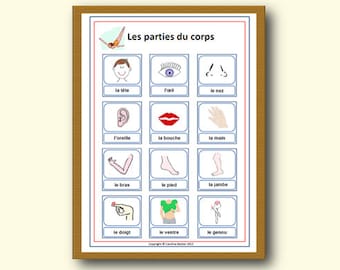 May include: A colourful educational chart with illustrations of different parts of the human body, labelled in French. The chart includes images of the head, eyes, nose, ears, mouth, hand, arm, foot, leg, finger, stomach, and knee.
