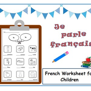 MASCULINE or FEMININE FRENCH Printable Genders Activity Kids / Learning French / Primary Teacher / Education / Lesson Plan/Language Learning