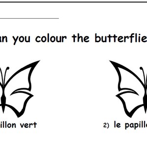 May include: A black and white colouring page featuring two butterflies. The text 'Can you colour the butterflies?' is at the top of the page. The text 'le papillon vert' is below the first butterfly and 'le papillon jaune' is below the second butterfly.