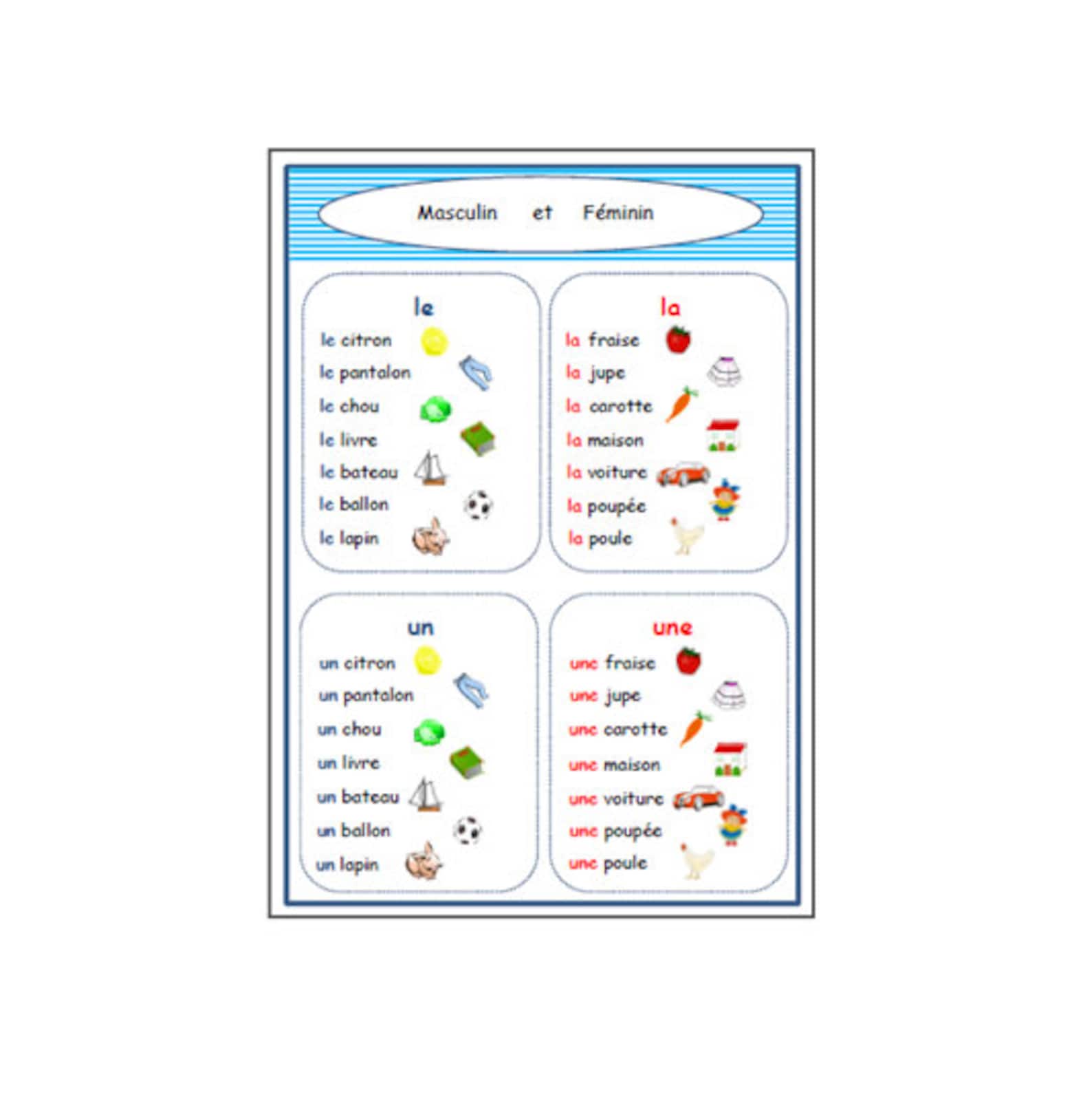 MASCULINE & FEMININE of French Nounseducationlearn French Etsy UK