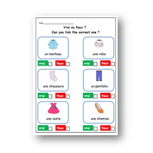 FRENCH PRINTABLE ACTIVITY to learn Names of Clothes, Kids Learning Sheet,True/False Exercise,Downloadable for Teachers and Homeschoolers