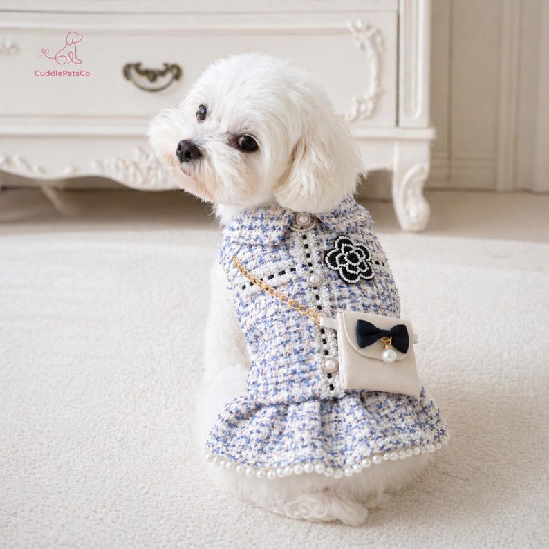 May include: A small white dog dressed in a blue and white tweed dress, featuring a black flower detail and a cream-coloured purse. The dress is adorned with pearl accents and a gold chain strap. The logo "CuddlePetsCo" is visible.