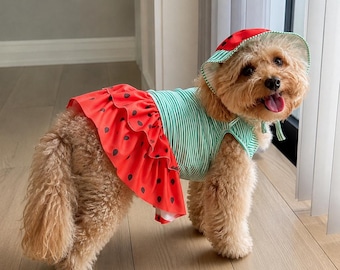 Watermelon Dog Costume | Striped Top, Ruffled Skirt, Sun Hat | Small Pet Summer Outfit