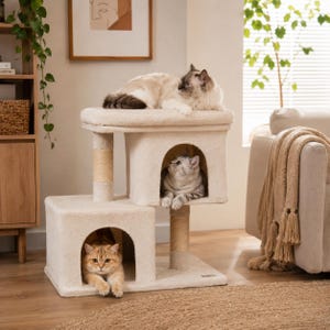 Könnte beinhalten: Ein zweistöckiger beiger Katzenbaum mit zwei geschlossenen Höhlen mit bogenförmigen Eingängen, zwei vertikalen Kratzstämmen aus Sisalseil und einer flachen oberen Plattform. Drei Katzen befinden sich auf und in dem Möbelstück.
