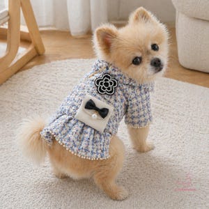 May include: A small dog wearing a blue and white tweed dress with a black bow and pearl detail. The dress features a flower-shaped embellishment and a ruffled skirt with pearl trim. The dog is sitting on a light-coloured rug.