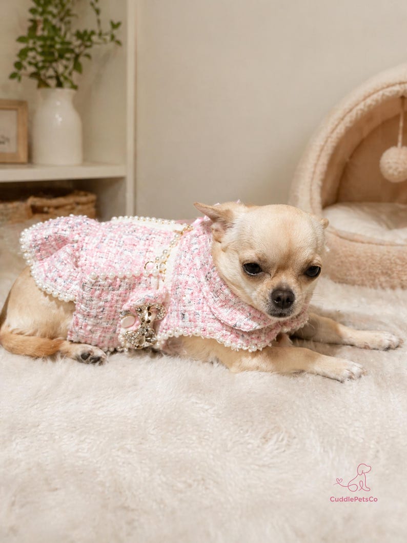 May include: A small dog wearing a pink tweed jacket with a decorative bow and pearl accents. The dog is lying on a fluffy, white surface. The jacket has a ruffled collar and trim. The CuddlePetsCo logo is visible in the bottom right corner.