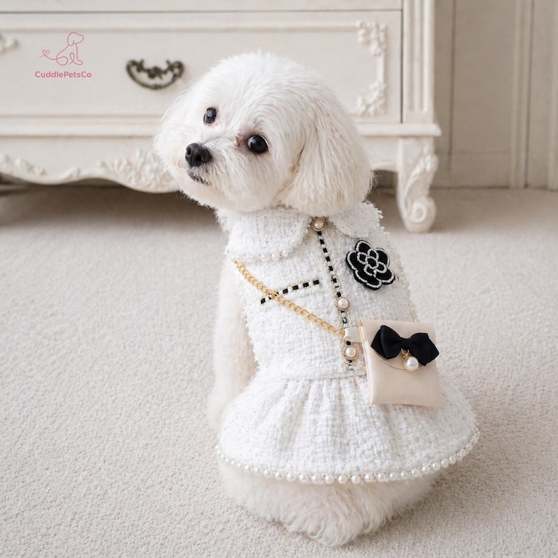 May include: A white dog dressed in a white tweed dress with a pearl-trimmed hem and collar. The dress has a black flower detail, a small purse with a black bow, and a gold chain strap. The dress features pearl buttons and a pleated skirt.