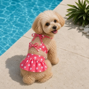 Hundbikini med kjol – Prickig sommarstrandoutfit för husdjur