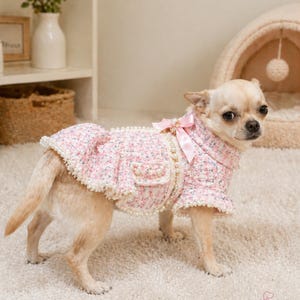 May include: A small dog wearing a pink tweed dog coat with pearl detailing and a matching bow. The coat features a frilled hem and pocket details. The dog is standing on a white rug.