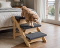 Ramp for senior dogs - Pet Stairs product logo