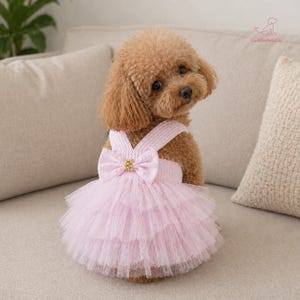 May include: A small, brown dog wearing a pale pink tulle dress with a bow and gold detailing. The dress features a layered skirt and straps. The dog is seated on a beige sofa.