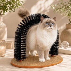 May include: A fluffy, light-colored cat with blue eyes stands in front of a black arched cat brush. The brush is mounted on a brown, oval-shaped base with a woven texture. The cat is looking up.