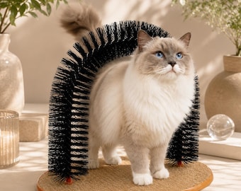 Cepillo de arco y rascador para gatos.