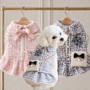 May include: A small white dog models a blue and white tweed dog coat with a small purse and a black bow. A pink tweed dog coat with a pink bow and pearl accents hangs on a gold rail. Another blue and white coat is also on the rail.