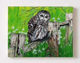 Streifenkauz Leinwanddruck, Eule Wandkunst, Wildtier Kunstwerk, Vogelliebhaber Geschenk, rustikale Cabin Decor, Waldnatur Malerei