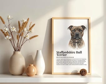May include: A framed wall art print featuring a realistic illustration of a brindle Staffordshire Bull Terrier dog with a dictionary-style definition and description of the breed printed in black text on a white background.