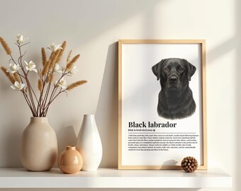 May include: A framed vertical print featuring a realistic illustration of a black Labrador dog head above the text Black labrador, phonetic spelling, and a paragraph describing the breed. The print is displayed next to three vases.