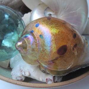 Vintage Glass Eye Studio Iridescent Glass Shell Paperweight - Etsy