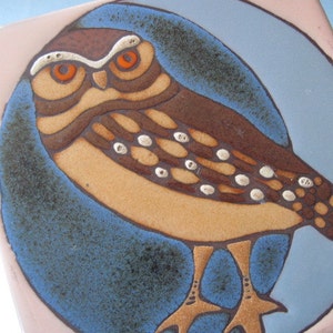 Vintage Ceramic Owl Tile Trivet Made in Italy