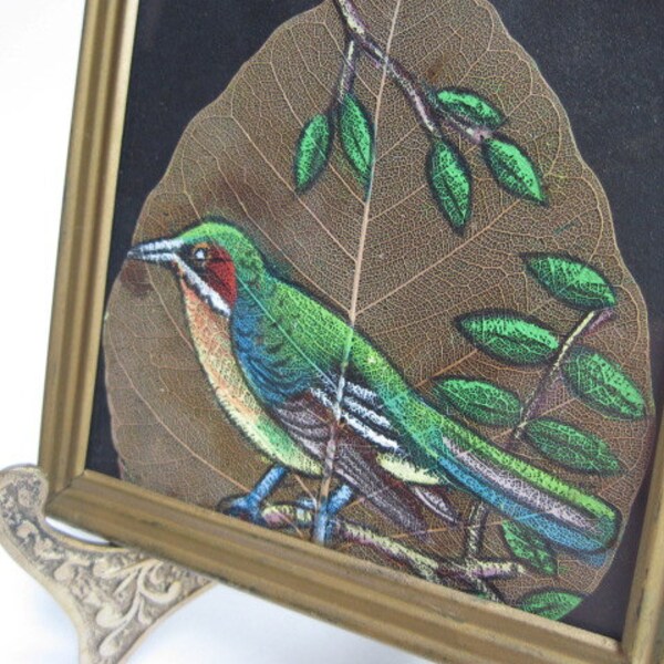 Vintage Pipal Peepal Leaf Bird Painting India