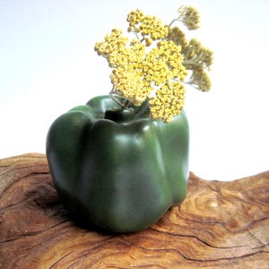 May include: A dark green ceramic vase shaped like a bell pepper with a smooth, matte finish. The vase features a small opening at the top containing a cluster of dried, pale yellow yarrow flowers with intricate, tiny, branching florets.