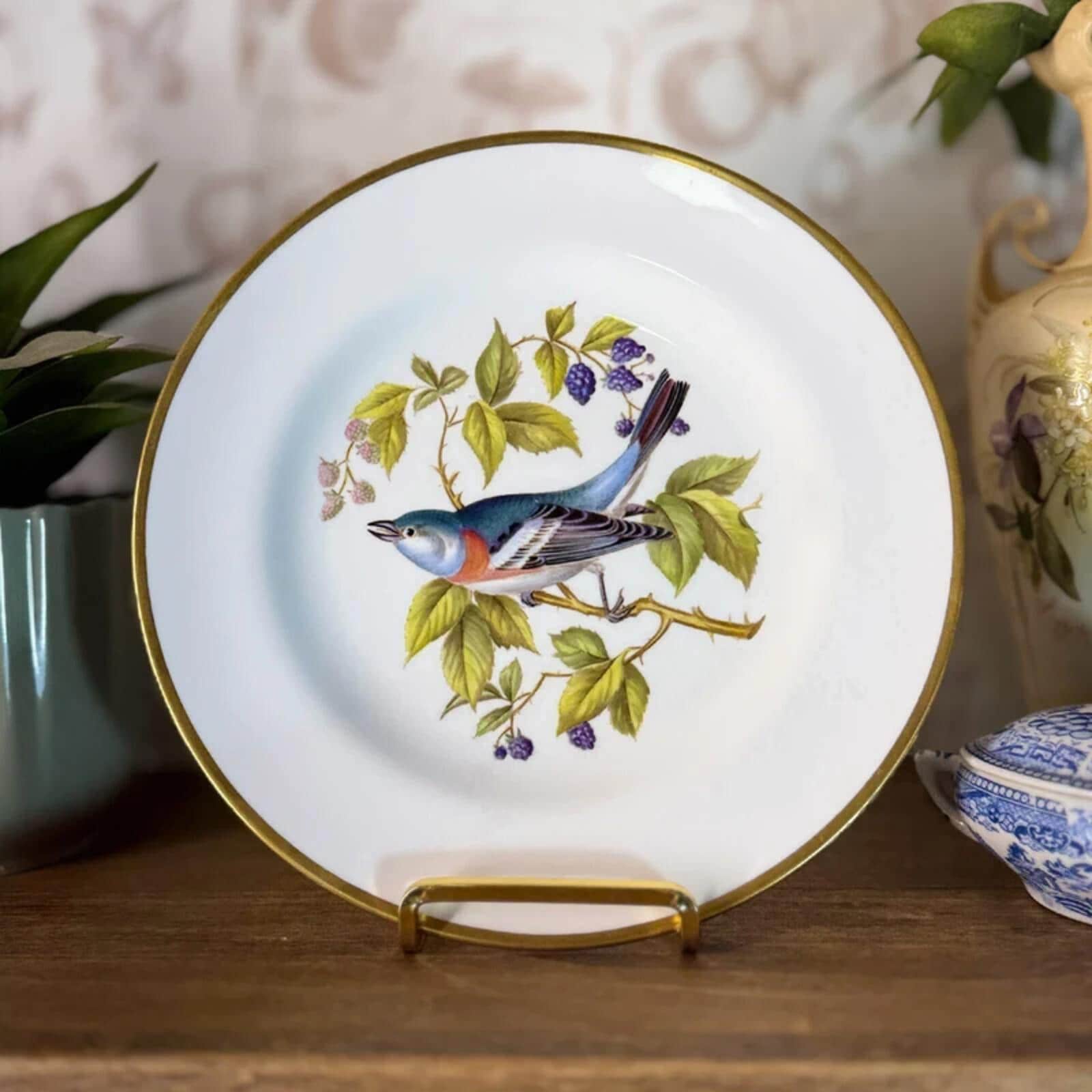 Spode Audubon Birds - Etsy