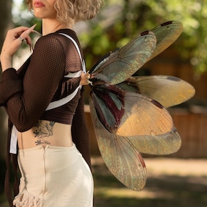 May include: A set of translucent, iridescent insect-like wings with dark veining, attached to white straps. The wings feature a multi-layered design with amber and brown tones, mimicking the appearance of dragonfly or cicada wings in a costume accessory.