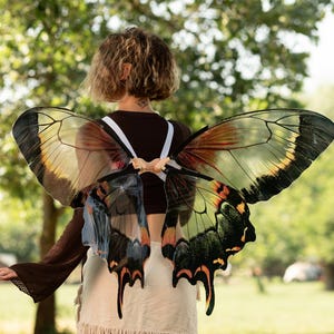 May include: Large, translucent butterfly wings featuring a detailed pattern of black, orange, and yellow veins. The wings are attached to white straps, displaying a realistic, iridescent texture that mimics the appearance of insect wings.