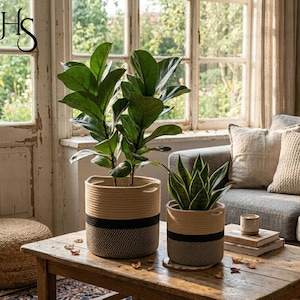 May include: Two woven plant pots with green plants sit on a wooden table. The larger pot has a light tan top, a black stripe, and a dark brown bottom. The smaller pot has a similar design. The table is in front of a window.