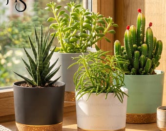 4pcs Plastic Plant Pot Holder, Modern Succulent Pot, Detachable Bottom Flower Pot, Succulent Planter, Home Decor Gift, Gift For Mom,