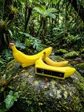 Banana remote holder