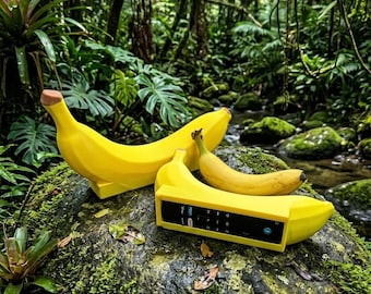 Banana remote holder