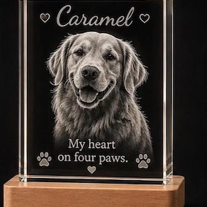 May include: A rectangular clear glass block featuring a laser-etched portrait of a dog. The text reads Caramel, My heart on four paws, with heart and paw print icons. The glass block is mounted on a rectangular light-colored wooden base.