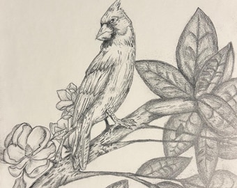 Original Charcoal cardinal