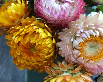 JoyBurstFlowerPrint macro floral cottage cart fine art photography