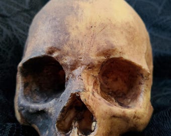 Réplica cráneo humano