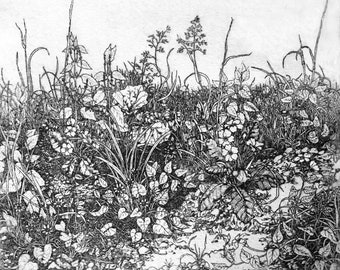 Detailed intaglio limited edition etching spring