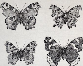 British Butterflies limited edition etching