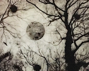 Solar etching of trees, The Silent Moon limited edition