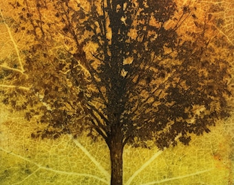 Solar etching with watercolour of tree and leaf skeleton