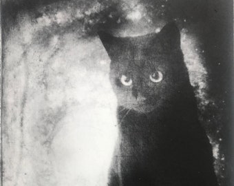 Solar etching of black cat