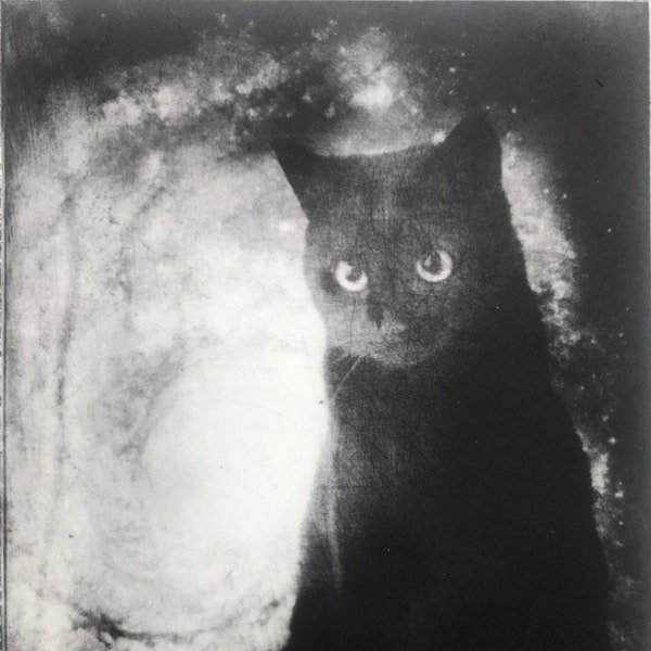 Solar etching of black cat