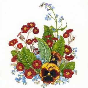 Grußkarte mit Gouacheillustration 'Polyanthus and Pansies'
