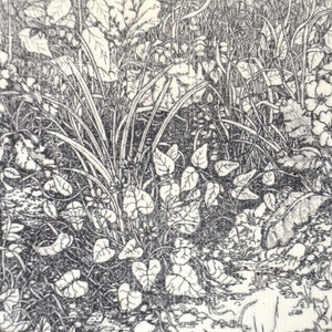 Detailed intaglio limited edition etching spring image 2