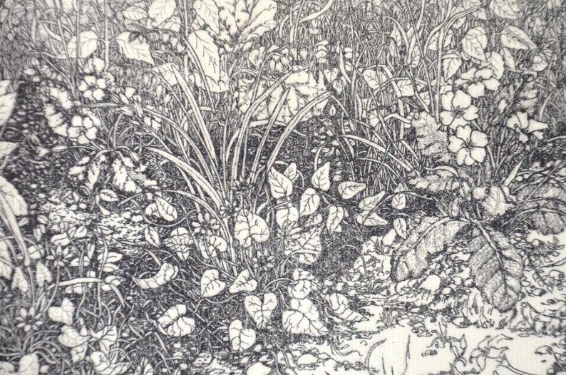 Detailed intaglio limited edition etching spring image 2