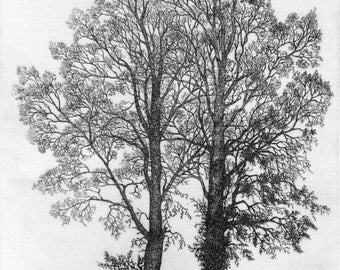 Two Elms etching limited edition